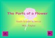 The Parts of a Flower Sixth Grade Science Mrs. Taylor