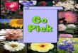 Play Go Pick the same as Go Fish The object of the game is to match a pair of State Flowers
