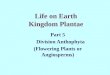 Life on Earth Kingdom Plantae Part 5 Division Anthophyta (Flowering Plants or Angiosperms)