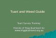 Tuart and Weed Guide Tuart Survey Training Friends of Trigg Bushland Inc 