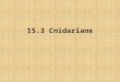 15.3 Cnidarians. Objectives Describe the characteristics of cnidarians. Explain how cnidarians reproduce. Compare and contrast the two body forms of cnidarians