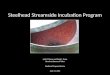 Steelhead Streamside Incubation Program Lytle P. Denny and David J. Evans Shoshone-Bannock Tribes Steelhead Program Review June 21, 2012