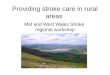 Providing stroke care in rural areas Mid and West Wales Stroke regional workshop