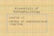 CHAPTER 17 CONTROL OF CARDIOVASCULAR FUNCTION Essentials of Pathophysiology