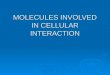 MOLECULES INVOLVED IN CELLULAR INTERACTION. CYTOKINES  Low molecular  Soluble protein messengers  Common subunit receptors (heterodimers) Lymphocyte