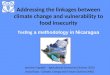 Addressing the linkages between climate change and vulnerability to food insecurity Testing a methodology in Nicaragua Jeronim Capaldo – Agricultural Economics