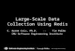 Large-Scale Data Collection Using Redis C. Aaron Cois, Ph.D. -- Tim Palko CMU Software Engineering Institute © 2011 Carnegie Mellon University
