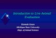 Introduction to Live Animal Evaluation Kenneth Geuns Michigan State University Dept. of Animal Science