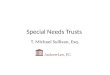 Special Needs Trusts T. Michael Sullivan, Esq.. Definition of Special Needs Special Needs: Of or relating to people who have specific needs, as those