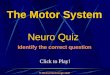 Click to Play! Neuro Quiz  Michael McKeough 2008 Identify the correct question The Motor System