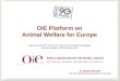 1 OIE Platform on Animal Welfare for Europe Dr. Stanislav RALCHEV OIE Sub-Regional Representation in Brussels Regional Information Seminar for Recently