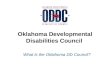 What is the Oklahoma DD Council? Oklahoma Developmental Disabilities Council