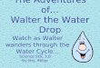 The Adventures of… Walter the Water Drop Watch as Walter wanders through the Water Cycle... Science SOL 3.8 By Mrs. Miller