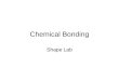 Chemical Bonding Shape Lab. 1)One structural isomer only