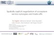 Www.floodrisk.org.uk EPSRC Grant: EP/FP202511/1 Spatially explicit negotiation of ecosystem service synergies and trade-offs Tim Pagella 1, Bethanna Jackson