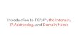 Introduction to TCP/IP, the Internet, IP Addressing, and Domain Name