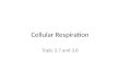 Cellular Respiration Topic 3.7 and 3.8. Assessment Statements: SL 3.7.1 Define cell respiration. 3.7.2 State that, in cell respiration, glucose in the