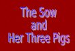 There was an old sow and she had three pigs. She named them and called one Martha, one Mary, and one Nancy. And she said to Martha, “I’m going to die,
