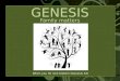 GENESIS Family matters When you hit rock bottom (Genesis 34)