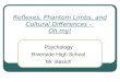 Reflexes, Phantom Limbs, and Cultural Differences – Oh my! Psychology Riverside High School Mr. Basich