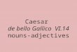 Caesar de bello Gallico VI.14 nouns-adjectives. tributum, -i