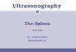 Ultrasonography The Spleen VCA 341 Dr. LeeAnn Pack lpack@upei.ca