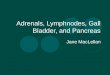 Adrenals, Lymphnodes, Gall Bladder, and Pancreas Jane MacLellan