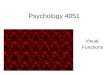 Psychology 4051 Visual Functions. Stereopsis True depth perception. The ability to see in 3D. Does not include monocular cues or binocular kinetic cues