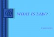 WHAT IS LAW? 4 approaches. WHAT IS LAW? NATURAL LAW POSITIVISM COMMON LAW LEGAL REALISM