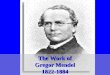 The Work of Gregor Mendel 1822-1884 1st person to trace successive generations of living things Augustinian Monk – Brunn, Austria taught natural science