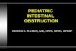 PEDIATRIC INTESTINAL OBSTRUCTION DENNIS S. FLORES, MD, DPPS, DPSN, DPNSP
