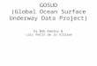 GOSUD (Global Ocean Surface Underway Data Project) by Bob Keeley & Loic Petit de la Villeon