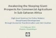 Awakening the Sleeping Giant: Prospects for Commercial Agriculture in Sub-Saharan Africa High-level Seminar for Policy Makers: Broad-based Development
