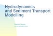 Hydrodynamics and Sediment Transport Modelling Ramiro Neves ramiro.neves@ist.utl.pt