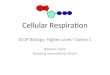 Cellular Respiration IB DP Biology: Higher Level/ Option C Stephen Taylor Bandung International School