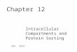 Chapter 12 Intracellular Compartments and Protein Sorting 張學偉 助理教授