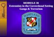 MODULE 36 Extremists in the Correctional Setting Gangs & Terrorism