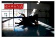 Who we are Braena is an interdisciplinary performance company; we create original performance work and facilitate inclusive-movement based workshops in