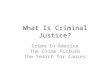 What Is Criminal Justice? Crime In America The Crime Picture The Search for Causes
