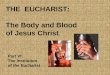THE EUCHARIST: The Body and Blood of Jesus Christ Part Vf: The Institution of the Eucharist