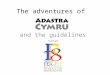 The adventures of and the guidelines app. Adastra’s responsibilities in FEIGHT: 1.Editing the project’s published outcomes: website, training documents,