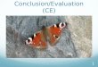 Conclusion/Evaluation (CE) 1. Section 3:Conclusion and Evaluation 2