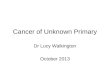 Cancer of Unknown Primary Dr Lucy Walkington October 2013