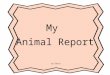 My Animal Report by Gavin. Alligator Table of Contents What Do alligator Look Like?………p.3 What Do alligator Eat?....................p.4 Where Do alligator