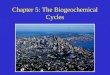 Chapter 5: The Biogeochemical Cycles. Biogeochemical Cycles A biogeochemical cycle is the complete path a chemical takes through the four major components