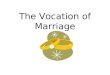 The Vocation of Marriage. Reflection Reflect on these questions in your notes.  What are the top 5 qualities of a good marriage?  Statistics say that