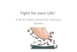 Fight for your Life! A Short Story about the Immune System