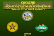 COCAINE (Please select Slide Show on the PowerPoint toolbar and then select Start Slide Show From the Beginning from the left corner. The links (including