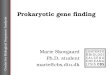 Center for Biological Sequence Analysis Prokaryotic gene finding Marie Skovgaard Ph.D. student marie@cbs.dtu.dk