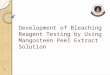 Development of Bleaching Reagent Testing by Using Mangosteen Peel Extract Solution 1